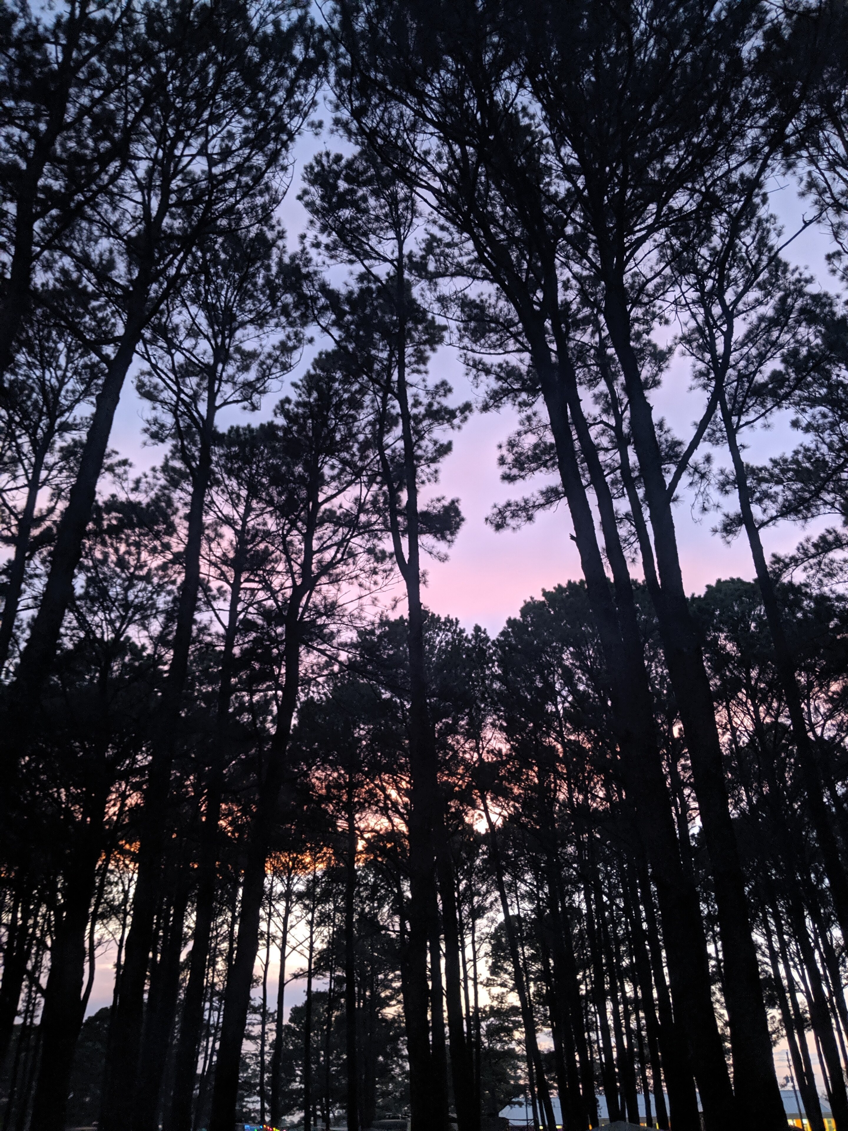 Best Hotels in County