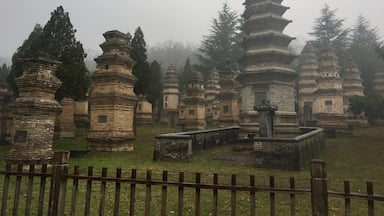 Impressive monk cemetery of the Shaolin temple in Henan, China. Over 240 pagodas altogether. 