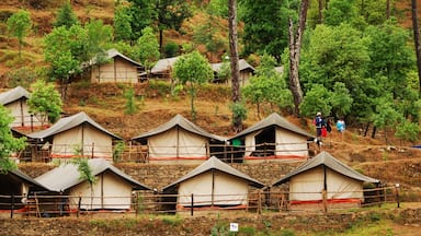 The INME camp at Uroli, Uttarakhand - a lovely place to send your kids for summer camp. Lots of activities and fun for the little ones.