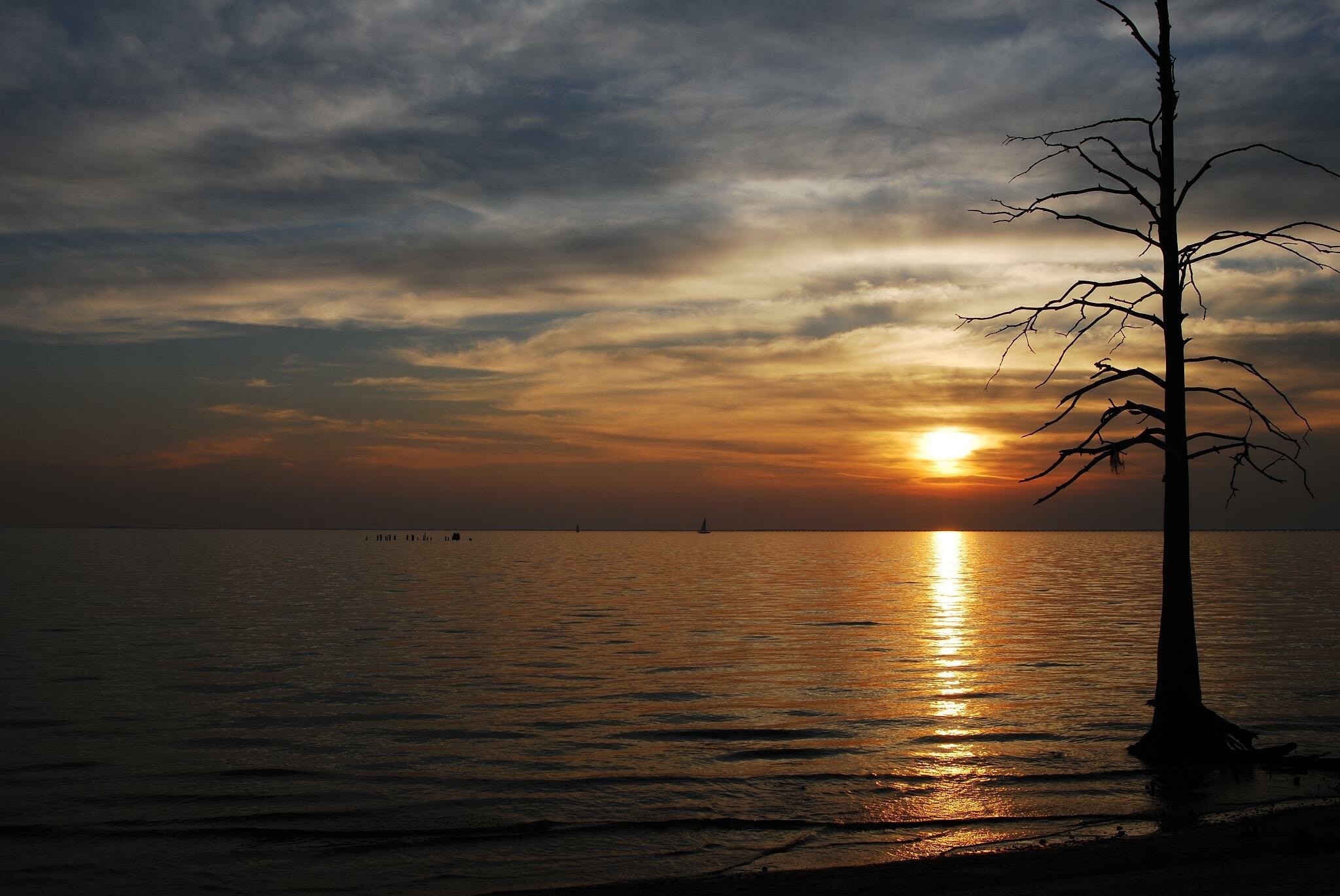 Photo by John Souter