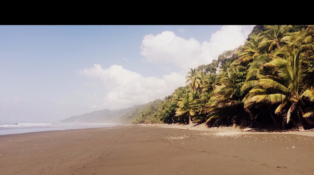 Carate Beach, Puntarenas Province, Costa Rica
