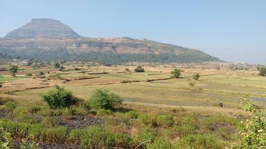 Maharashtran countryside...