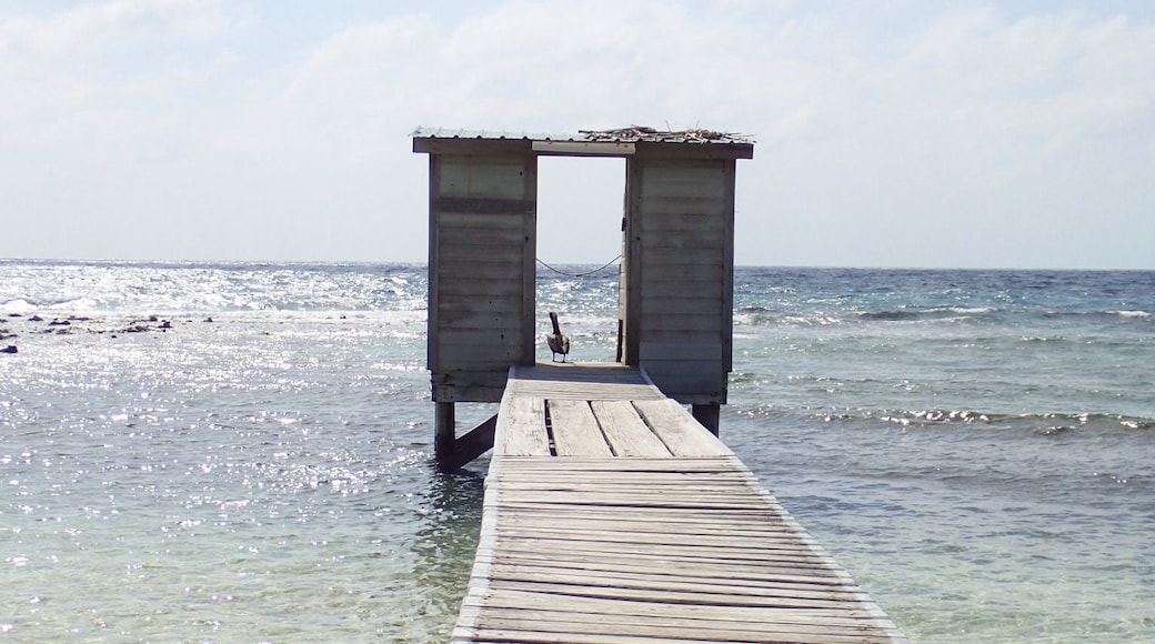 嘉莉鮑岩礁考察站, South Water 串島, 斯坦克里克區, 伯利茲