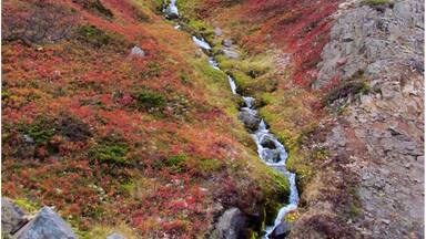 Stream coming off the mountain. Near Dalvik, Iceland
