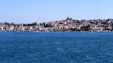 Ayvalik, Turkey
#blue