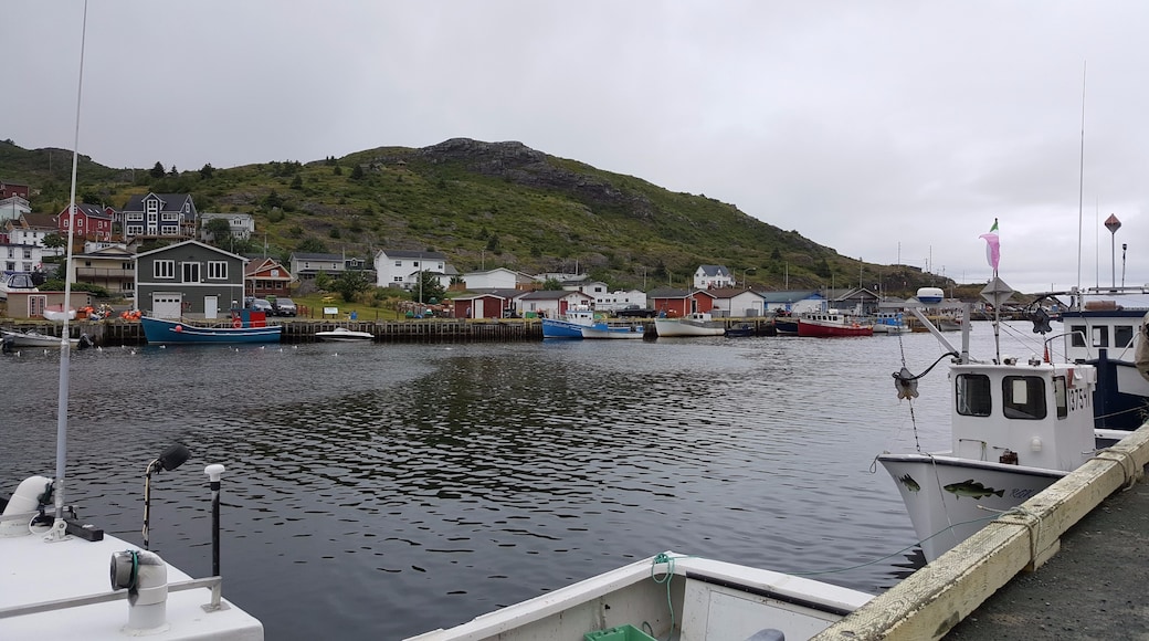 Petty Harbour-Maddox Cove, Newfoundland and Labrador, Canada