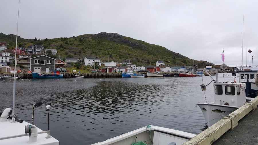 Fishing community
-2017
