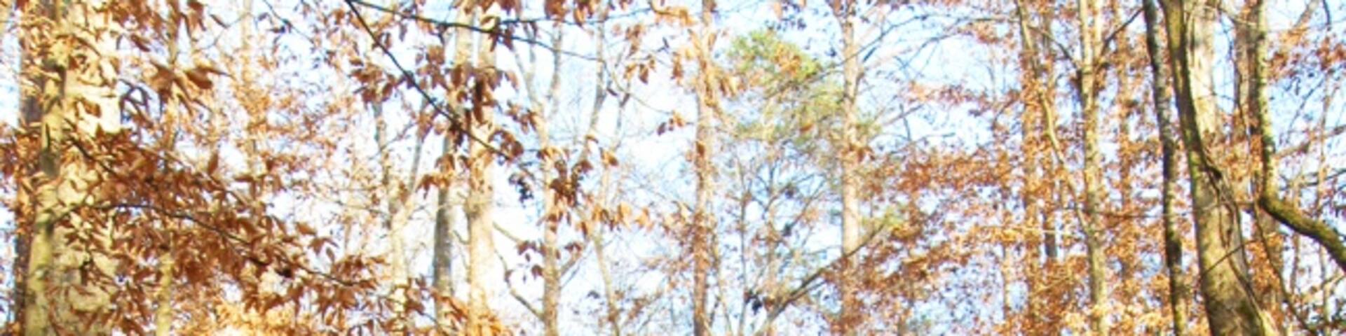 Port Gibson, Mississippi, Estados Unidos