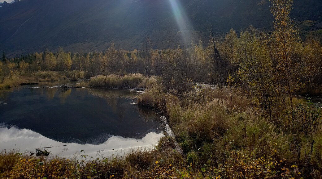 Eagle River Nature Center, Eagle River, Alaska, United States of America