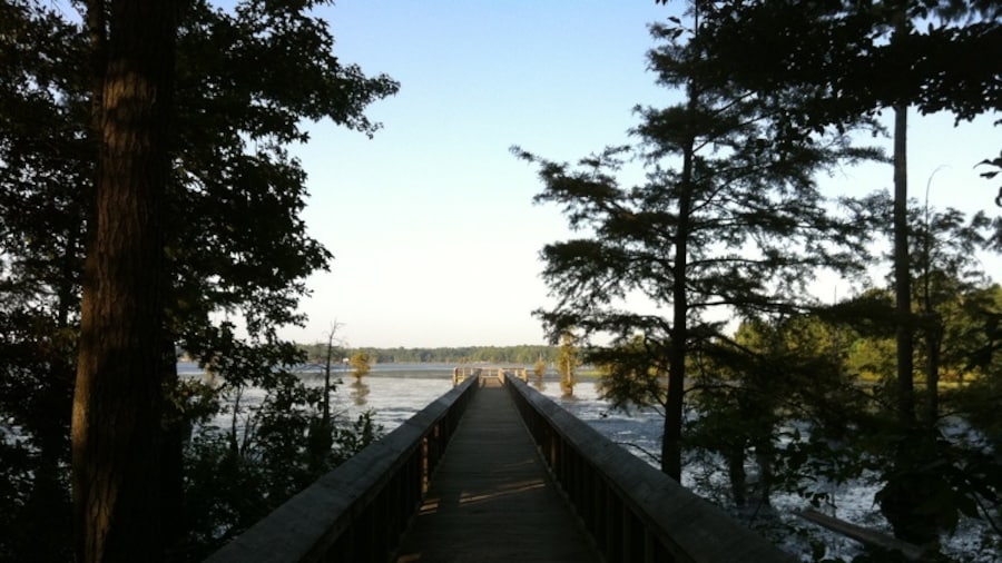 Lake D'Arbonne State Park