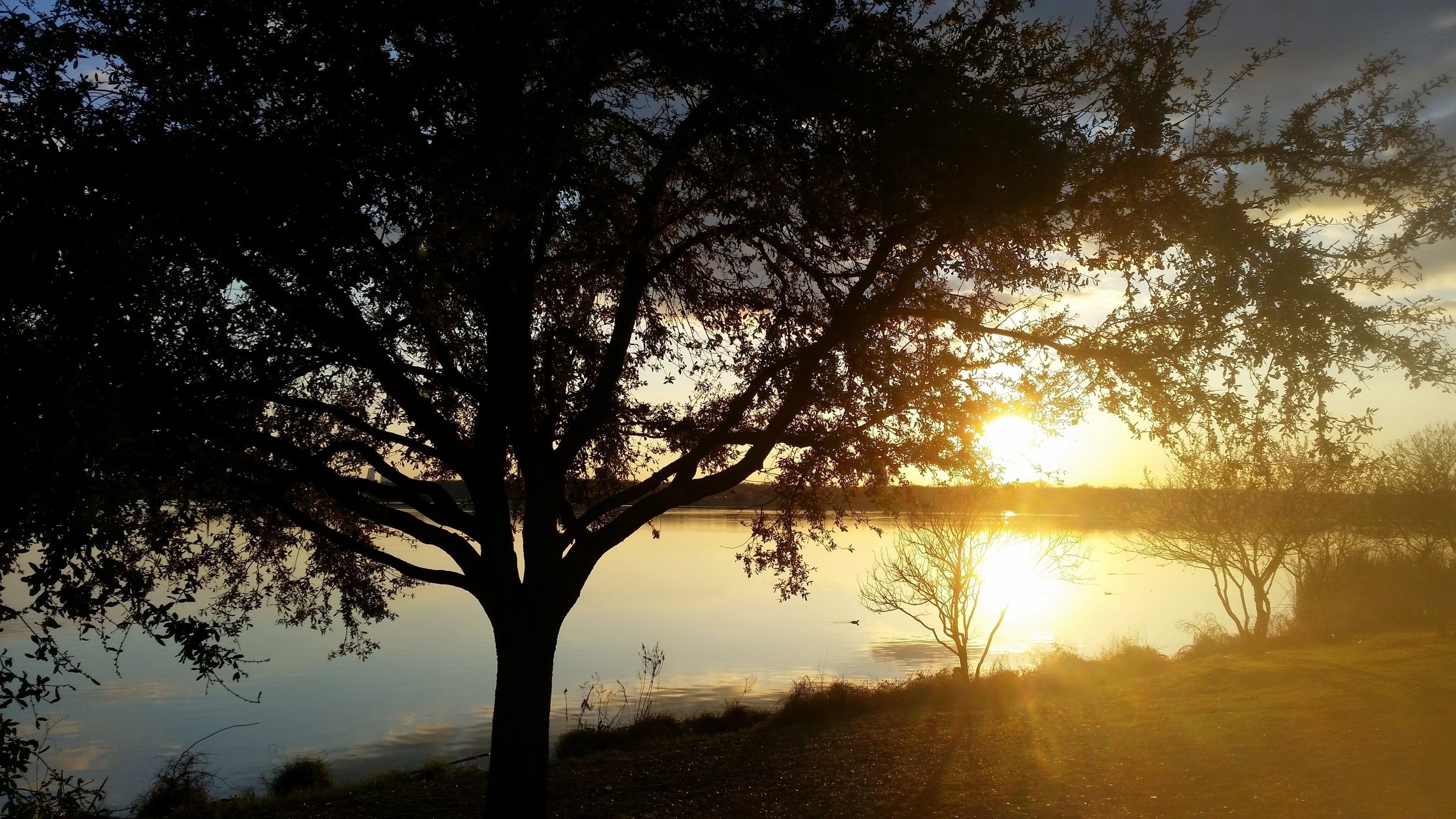 Great walking Ambiance 