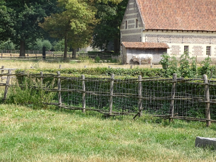 Mooi park dat Bokrijk