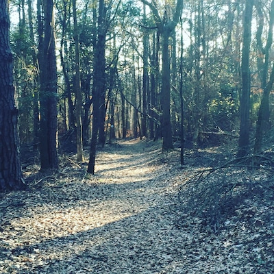 Seeking that new trail...