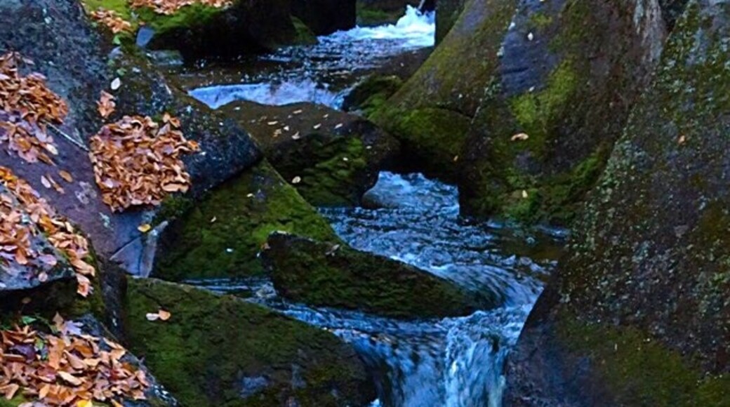 ロスト リバー渓谷 & ボルダー洞窟, ノース ウッドストック, ニューハンプシャー州, アメリカ