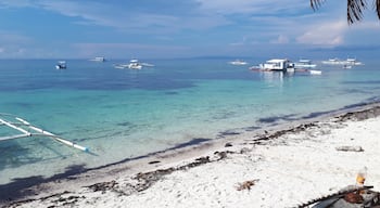 If you are up for island hopping aroung Bohol, this beach is the starting point. ☺
