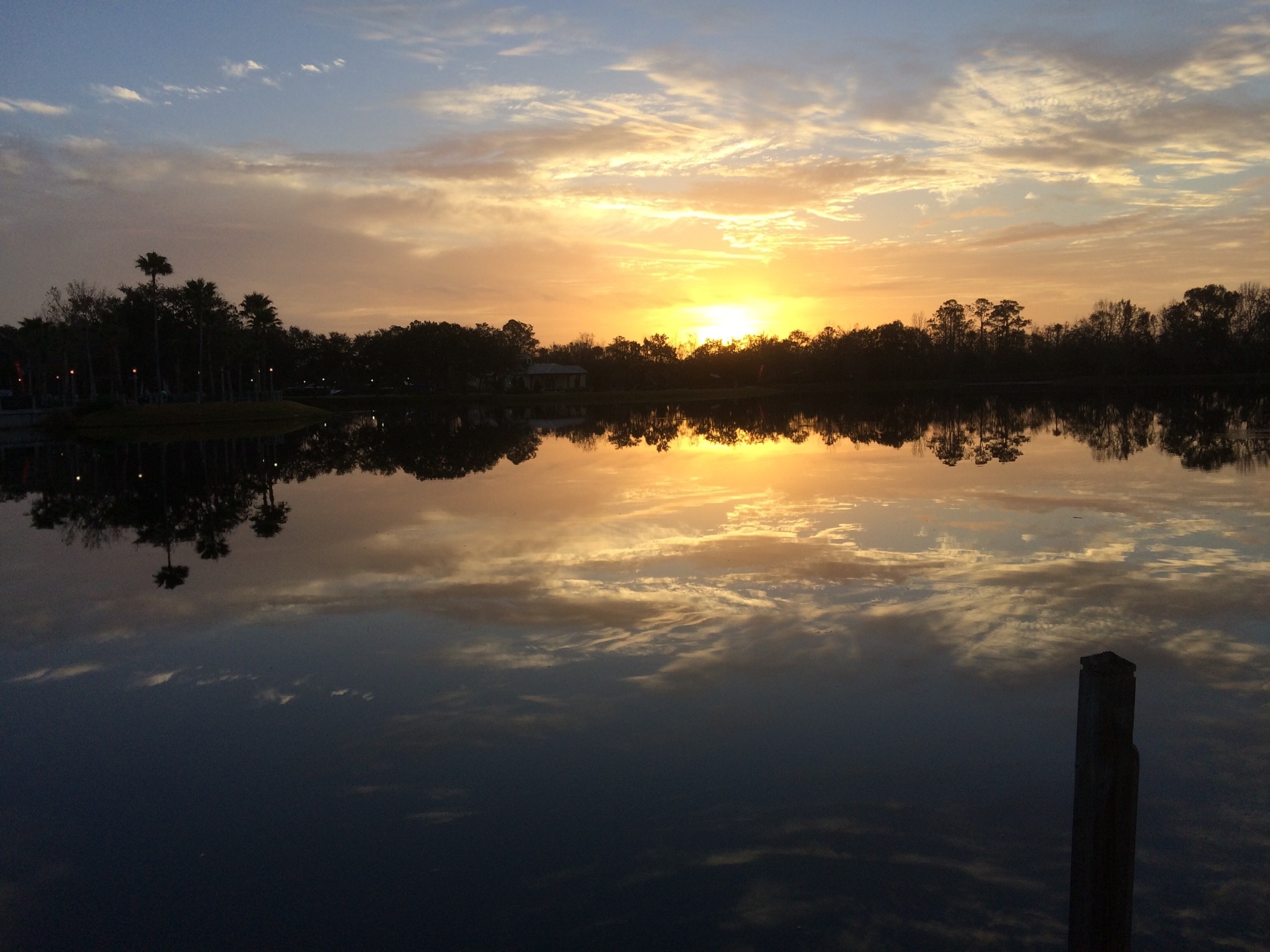 Foto von June Gardiner