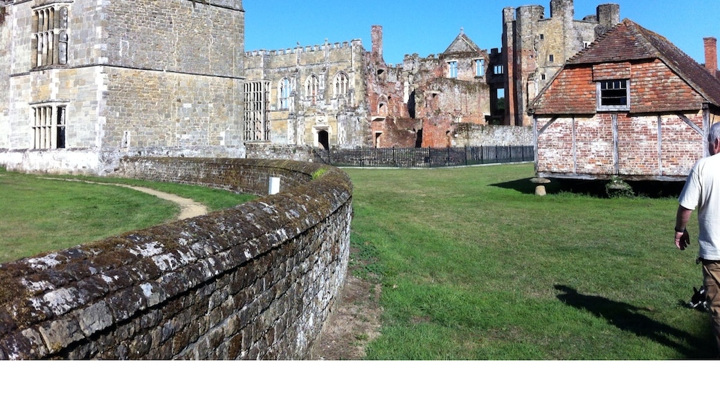 Photo by Marjory Wilson