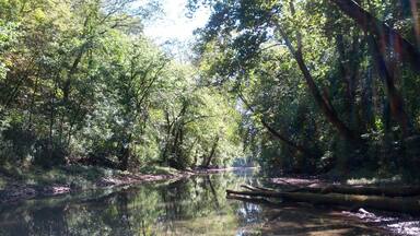 A serene shot of the perfectly still waters of the Twin Creek, its shore lined with smooth river rock. An absolutely choice spot for skipping stones. (A skill that everyone should obtain and at any given opportunity everyone should pass on.)