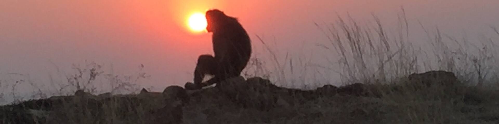 Solace at the sunset !!!