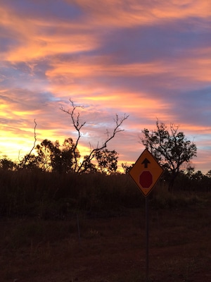 On our way from Litchfield National Park to Berry Springs, we stopped to watch the sunset over the #NorthernTerritory.
We caught most of the sunsets on our #roadtrip. This one was last Friday - #offtheBeatenTrack!
#IloveaSunburntCountry.
#iPhoneonly
It really was a #goldenhour!