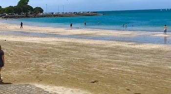 A Stunning Beach in New Zealand 👍🏻🇳🇿✈️🌎🌅