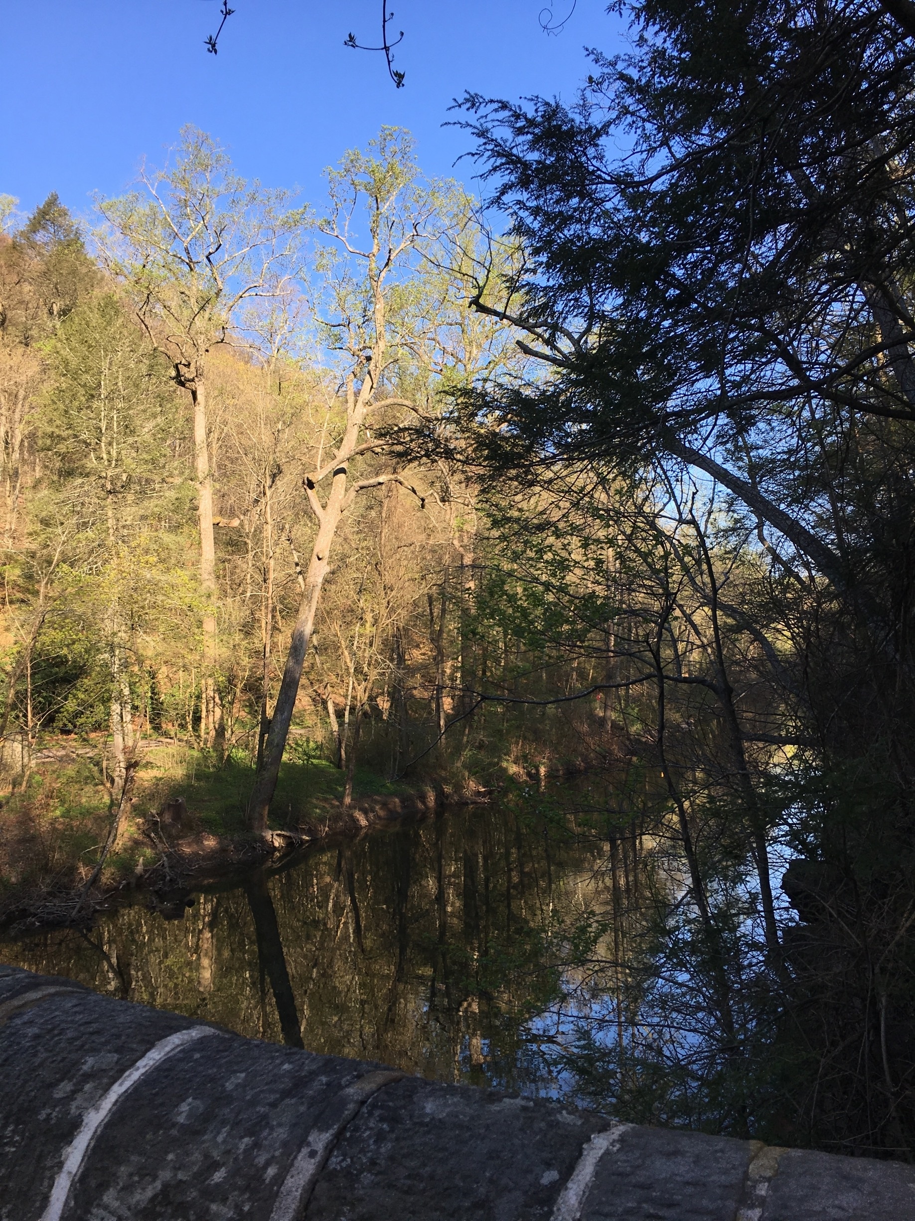 Wyndmoor, Philadelphia Vacation Rentals house rentals & more Vrbo