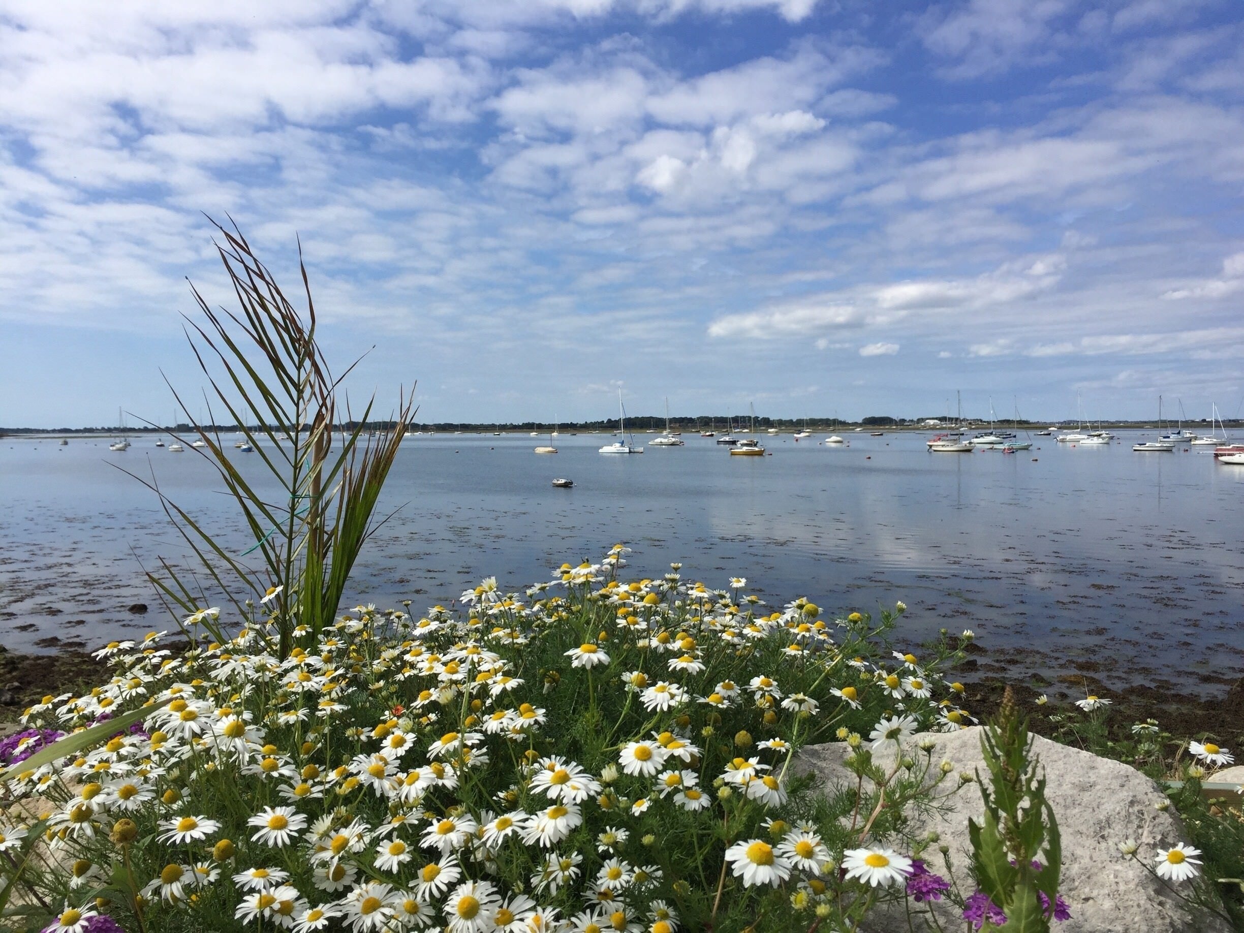 The Best Hotels in Emsworth (FREE cancellation on select hotels) Expedia