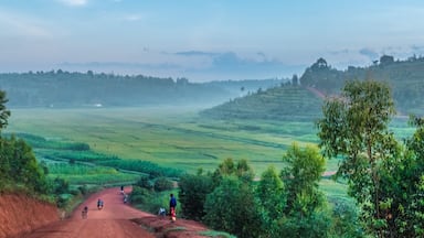 Early morning mist near Butare, Rwanda
#blue