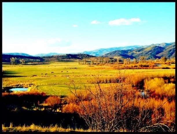 Yampa Valley view from the trailhead to Sarvis Creek outside of Steamboat Springs, CO. 