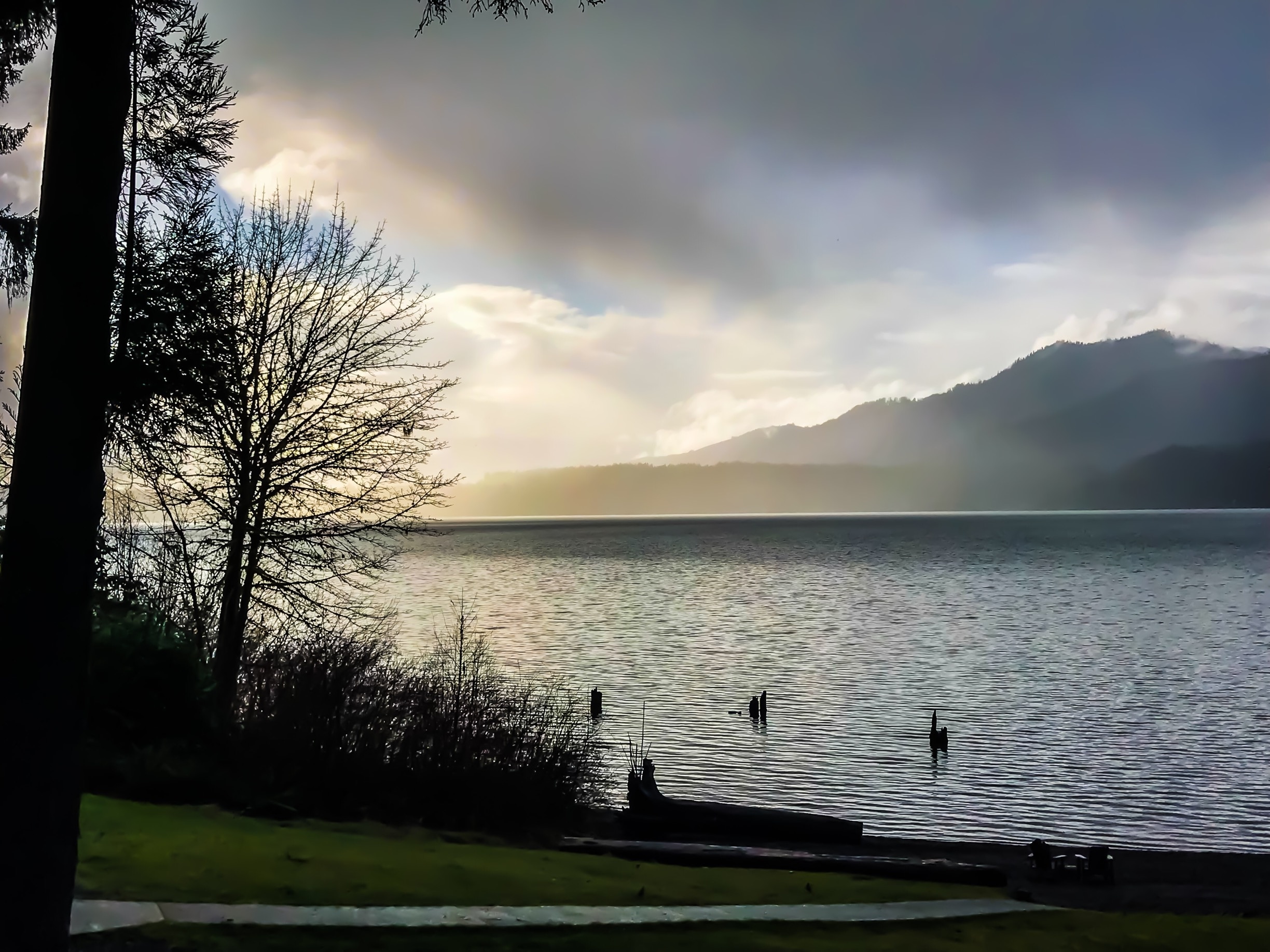 I also hadn’t visited Lake Quinault Lodge in years. It was peaceful and quiet. A little too quiet for teens on Spring Break! 😁 #LakeQuinault #OlympicNationalPark #SpringBreak2018 
