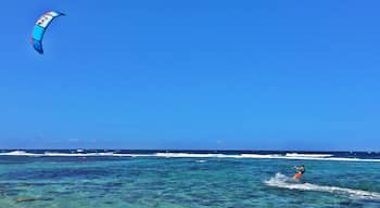 It is a very nice and quiet beach but also with entertainment because of the many kite surfers passing by. It is still a great spot to swim even though it is on the north shore with big waves but they do not get all the way to the shore. The waters are crystal #blue and the sand is a bit of pink. The entrance is a bit hidden by the Grapefield dunes. 