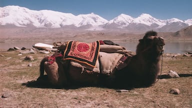 On the road between Pakistan and China, on the way to Kashgar, Kala Kule Lake is an essential stop. The crystal clear waters reflect the snowy mountains. You can also enjoy riding a bactrian camel.