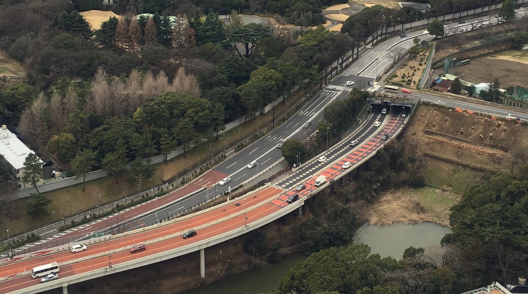 ภาพโดย Tom Tomidokoro