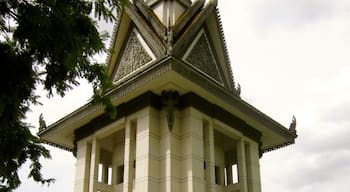 The Killing Fields Memorial is located outside of the Phnom Penh the capital of Cambodia.

This site marks just one of hundreds of sites across the country where mass genocide of follow Cambodians took place during their civil war.

The structure in the picture, houses the skeletal remains of thousands of people killed at this location.

The area is a reminder of how cruel mankind can be to each other.  It is also a place to learn how kindness and compassion can be a gift we give to each other daily.