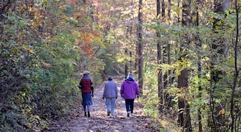 Three of the most important people in my life . From the left My step mom, my mom, and my wife. This was on a walk through Reflection Riding Arboretum & Nature Center in Chattanooga this past weekend. I was lagging behind and thinking of my father. 