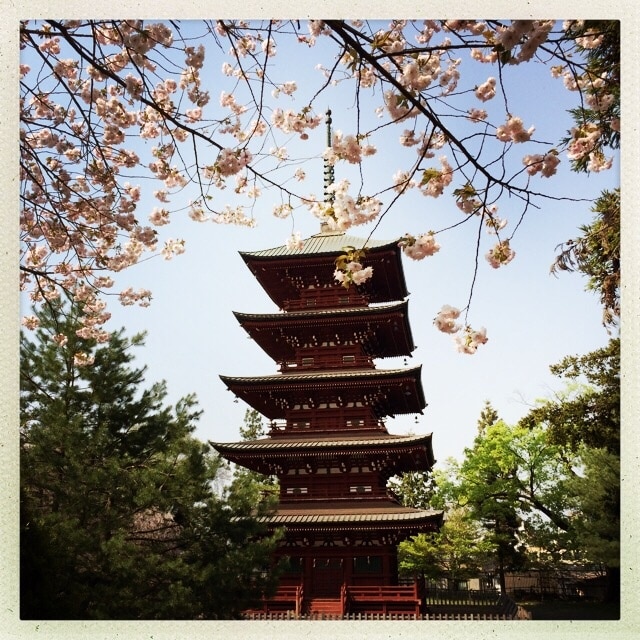 Five-storied pagoda in Hirosaki