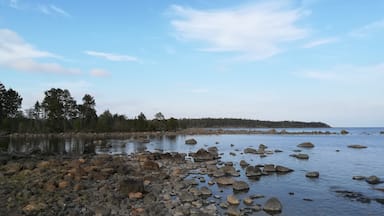 A protected forest and old iron works owned by my current employers on the east coast of Sweden. This photo is looking out to the Baltic.