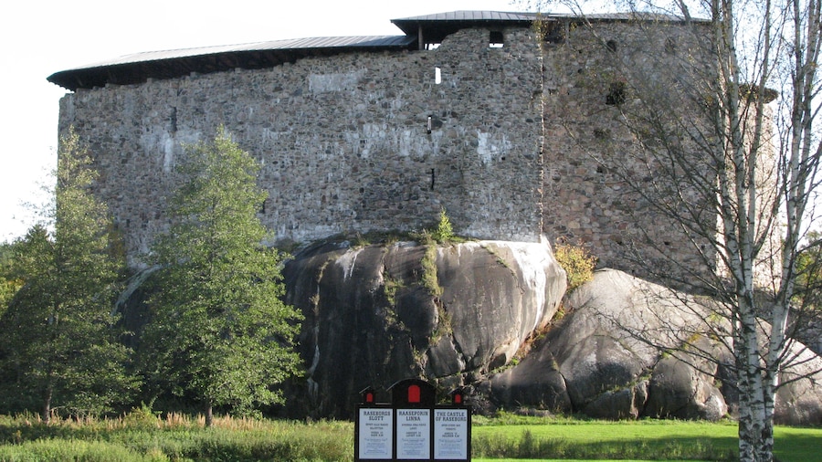 Kastalinn í Raseborg
