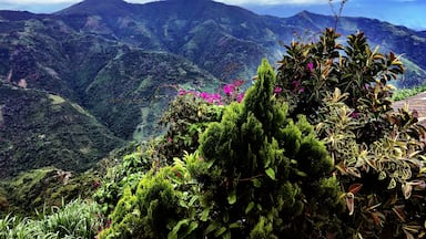 The view from my home in Salamina. #Colombia