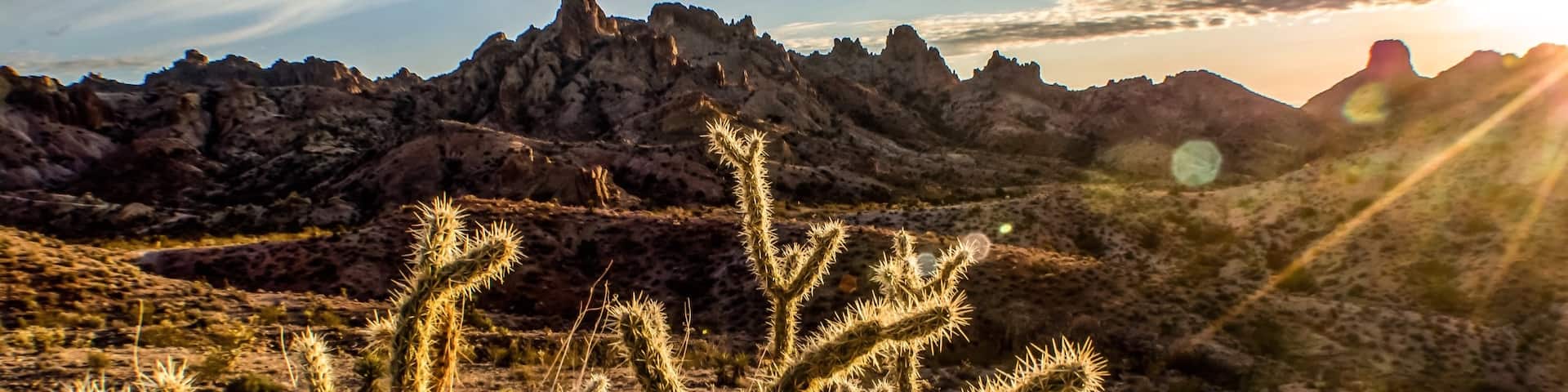 Bullhead City, Arizona, United States of America