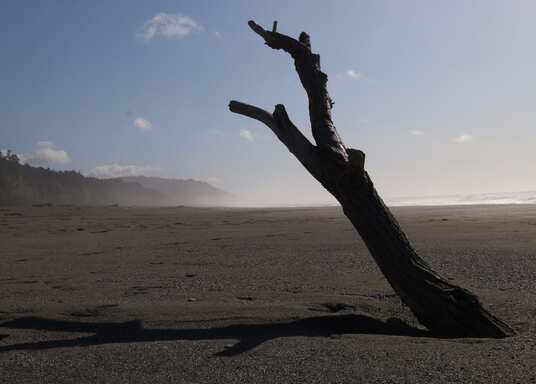 Orick, Californien, USA