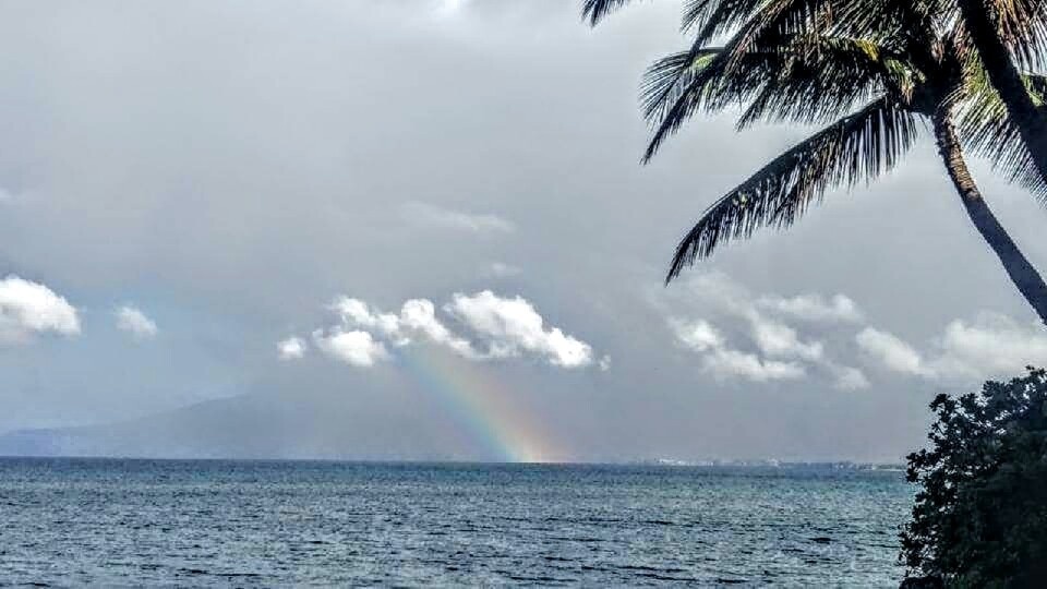 A little rain always brings out the rainbows on Maui 😎