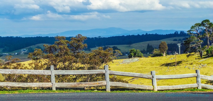 A short detour off the Princes Hwy, and well worth the visit! Great coffee at Tilba Teapot.