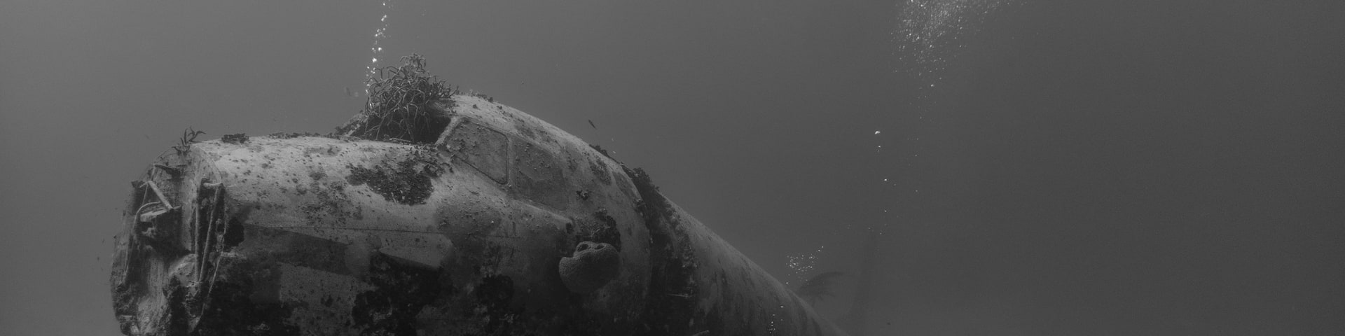 San Nicolas Zuid, Aruba