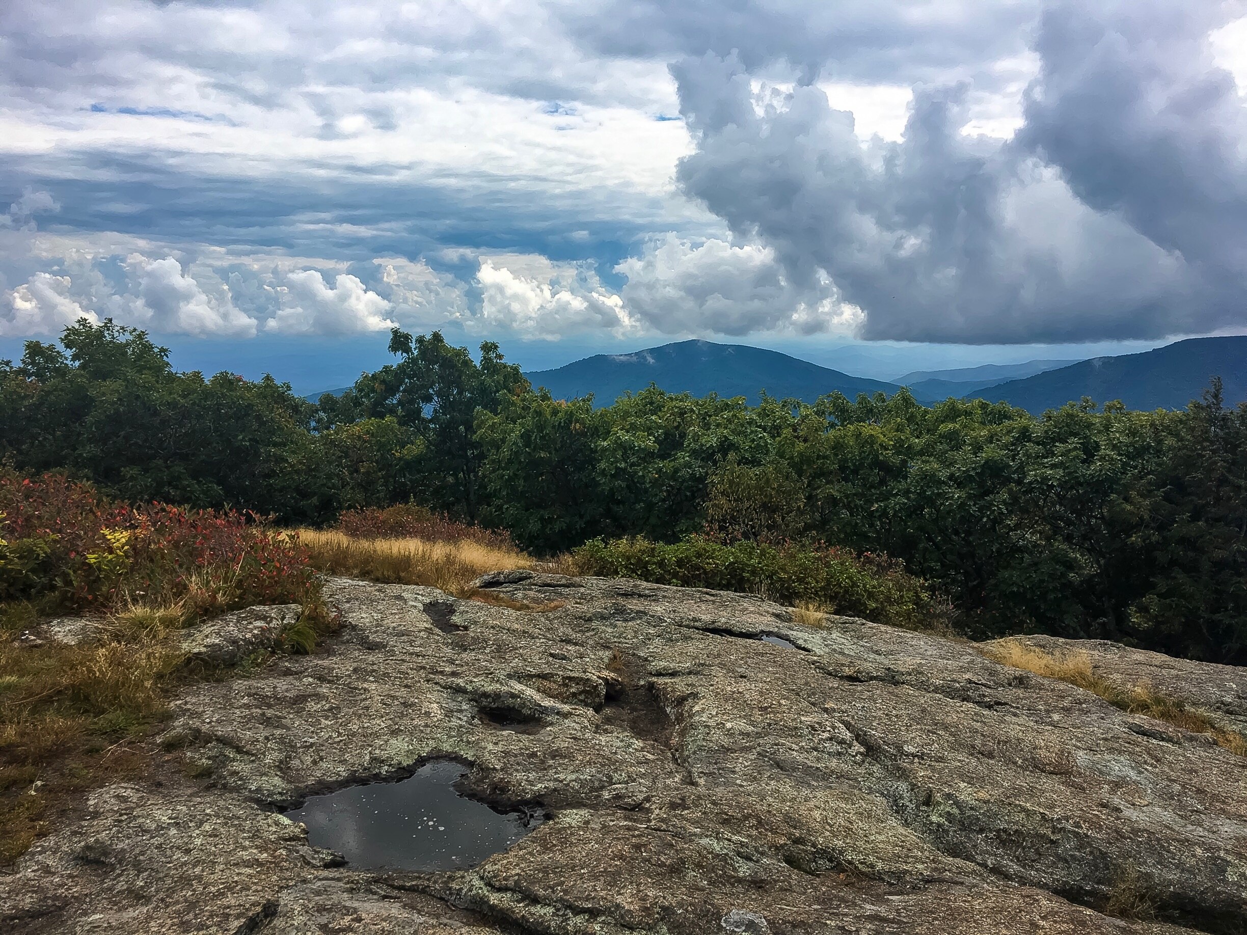 Visit Roseland 2021 Travel Guide for Roseland, Virginia Expedia