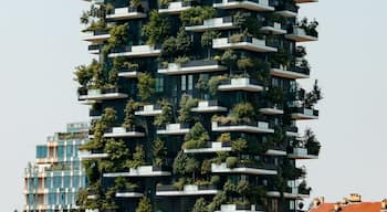 A view of Bosco Verticale in Milan as we set off for Desenzano del Garda.

I thought that this building was fascinating.  It is like a vertical garden.