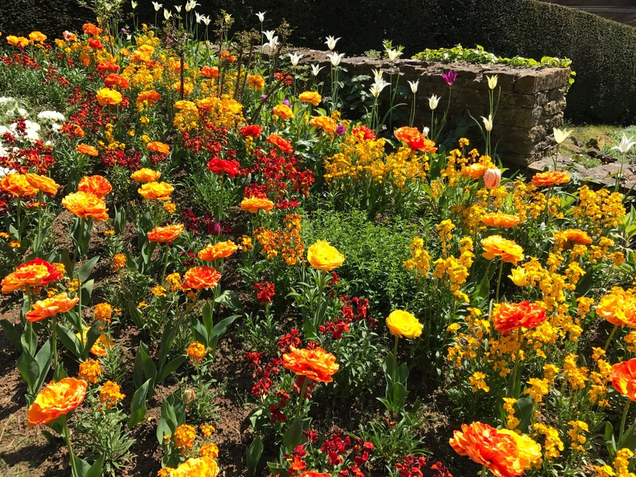 Unexpected find, beautiful walk through a sloping garden