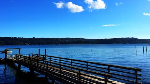 相片由 Susie Burrows 提供