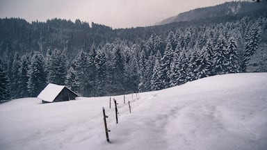 Winter hiking in Fiesch, enjoy the beautiful scenery along the way!