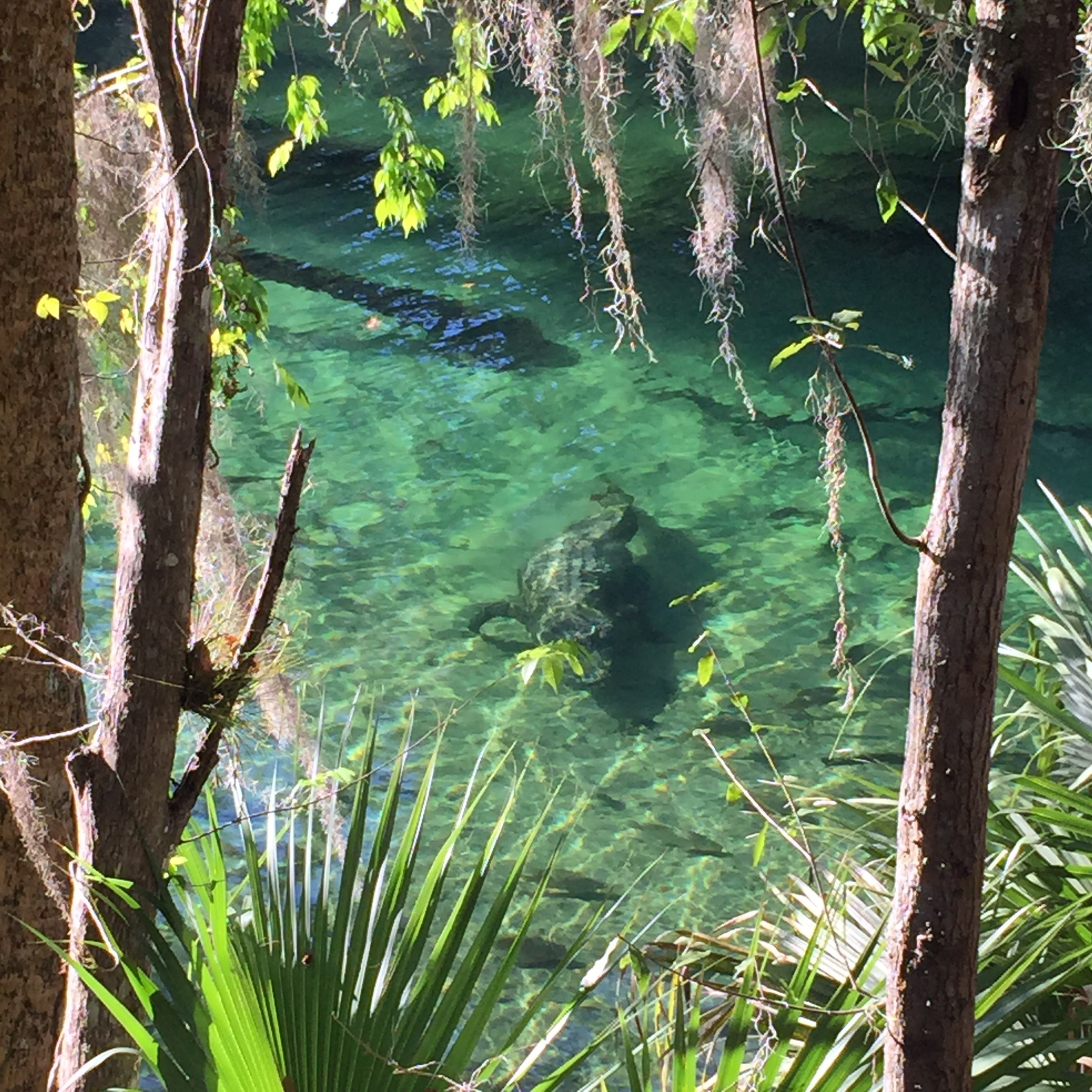 Escape To Nature’s Playground: Your Guide To DeLand/Orange City’s Hidden Gems